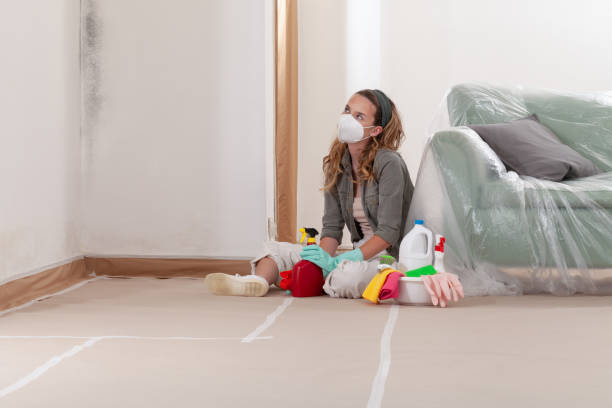 Reliable Commercial Mold Remediation contractor in Columbus, MN by Mold Remediation HQ